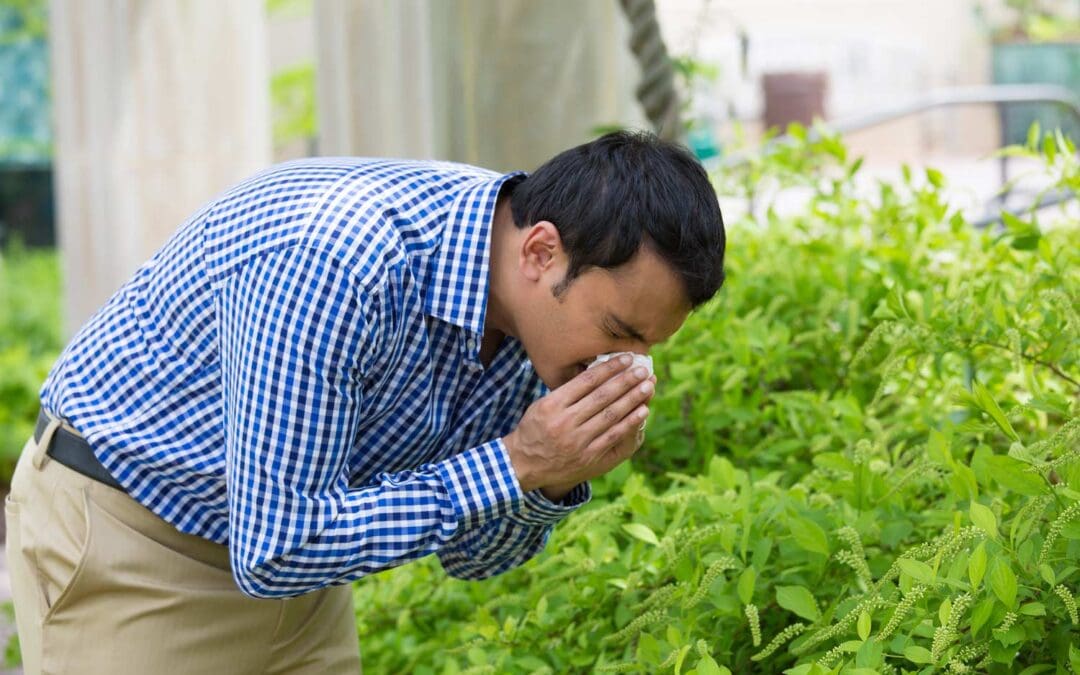 Managing Allergies in the Summer: Tips for Workers with Seasonal Allergies