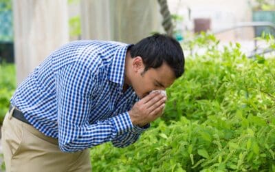 Managing Allergies in the Summer: Tips for Workers with Seasonal Allergies